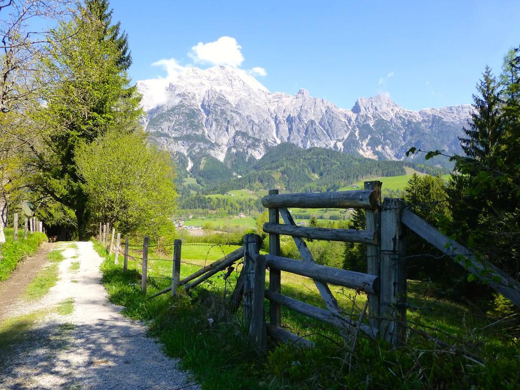 Alpin Lodge Leogang By Alpin Rentals Ruang foto