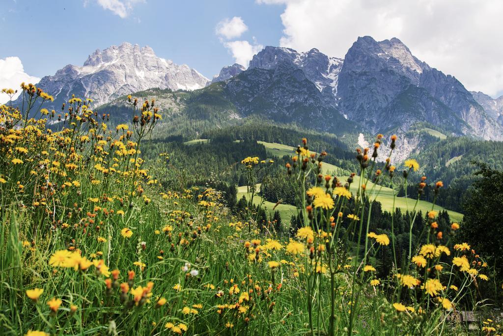 Alpin Lodge Leogang By Alpin Rentals Bagian luar foto