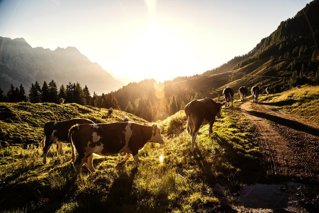 Alpin Lodge Leogang By Alpin Rentals Bagian luar foto